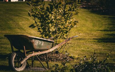 Church Busy Bee – 4th October 2025